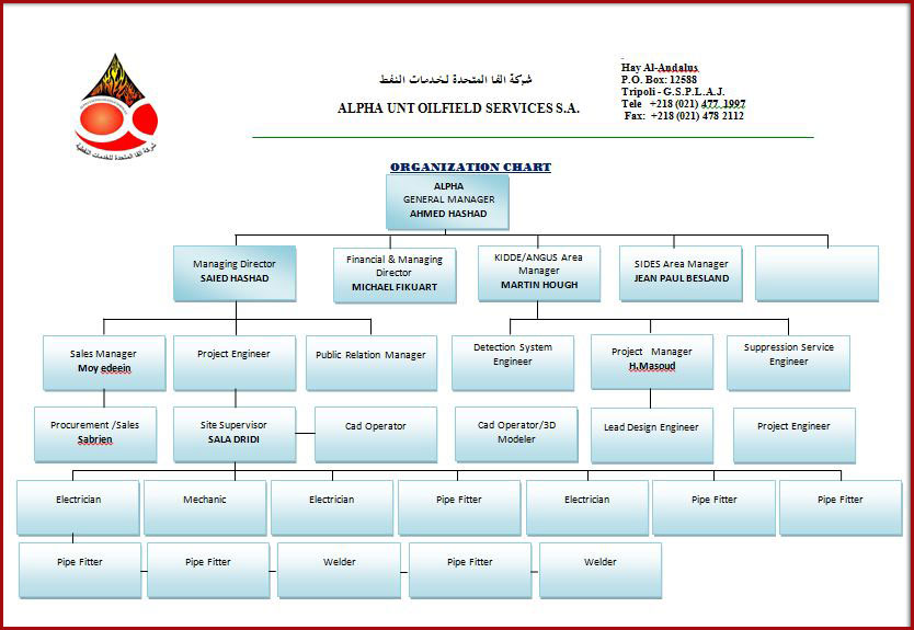 British Petroleum Organizational Chart